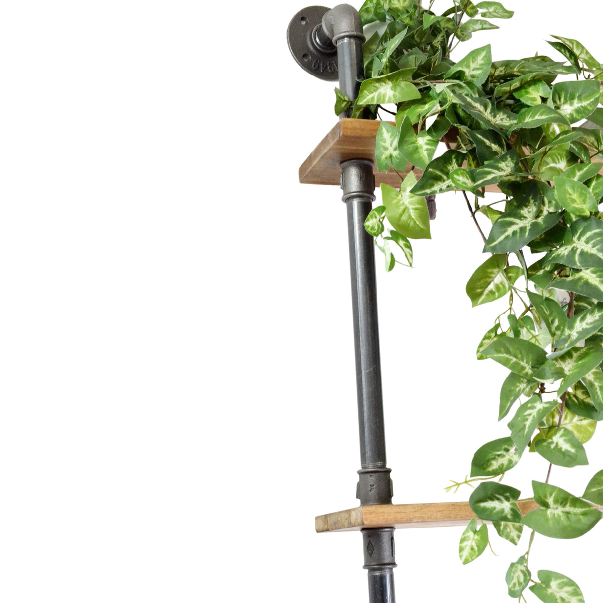 Kit étagères faible profondeur - mural ou sur pied - sur-mesure - étagère en situation avec plantes et livres - vue 6